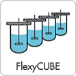 symbol_product_flexycube